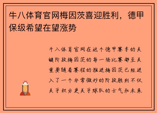 牛八体育官网梅因茨喜迎胜利，德甲保级希望在望涨势